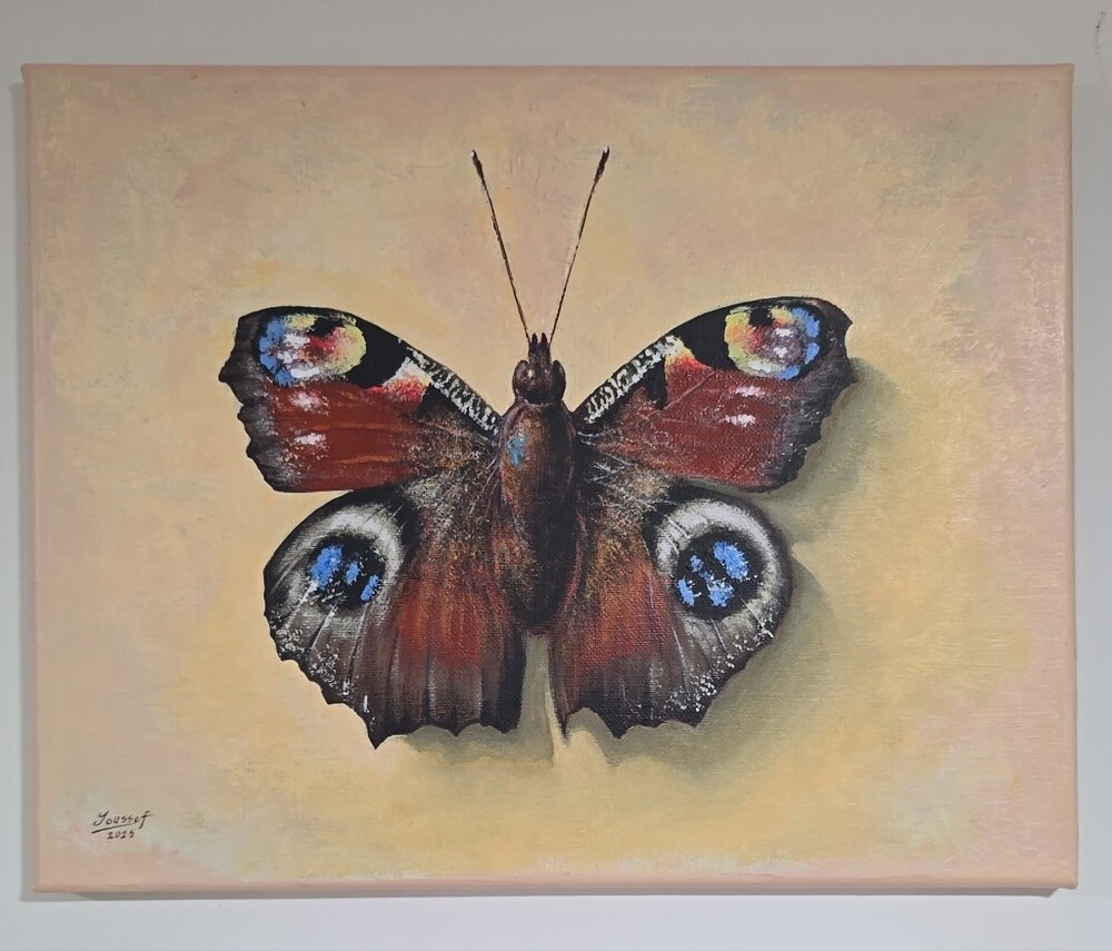 Buttrfly . Oil On Canvas 11x14